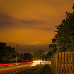 Road passing through trees