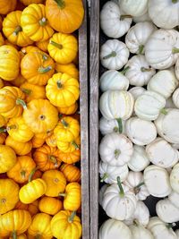 High angle view of pumpkins for sale at market stall