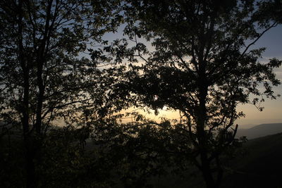 Silhouette of trees against sky at sunset