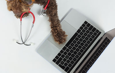 High angle view of laptop on white background