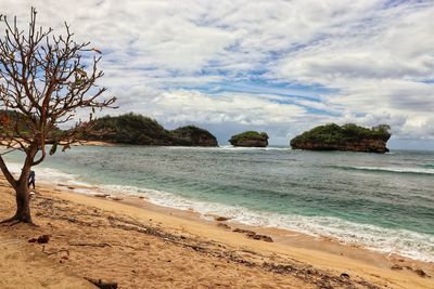 Scenic view of beach against sky