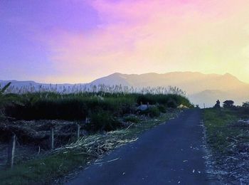 Country road leading towards mountains