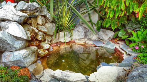 Rocks in stream