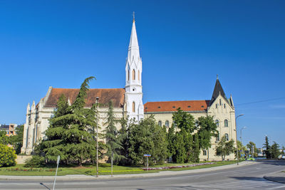 Trees and buildings against blue sky