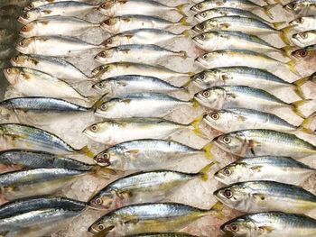 Full frame shot of fish for sale in market