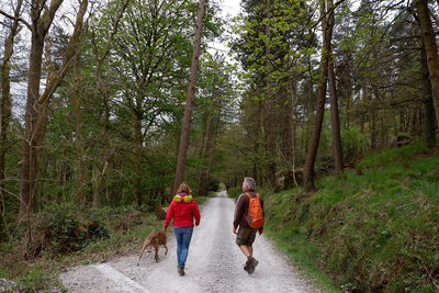 Rear view of people walking on footpath in forest