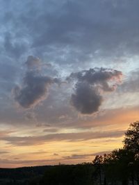 Low angle view of silhouette trees against sky during sunset