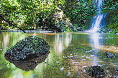 Scenic view of waterfall in forest