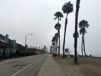 Street amidst palm trees against sky