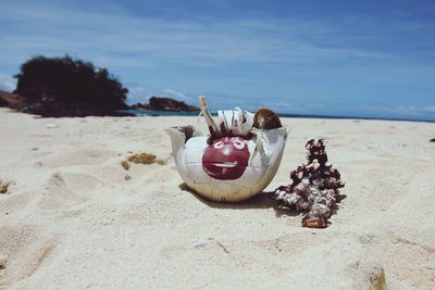 Close-up of shells on sand at beach against sky