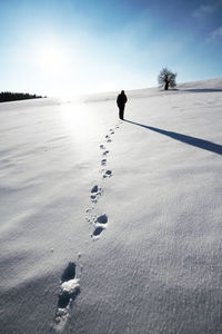 Rear view of person walking on snow covered landscape