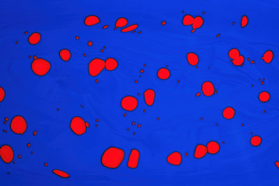 Red paint stains on a blue background