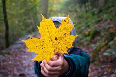 Child holding leaf in autumn infront of face