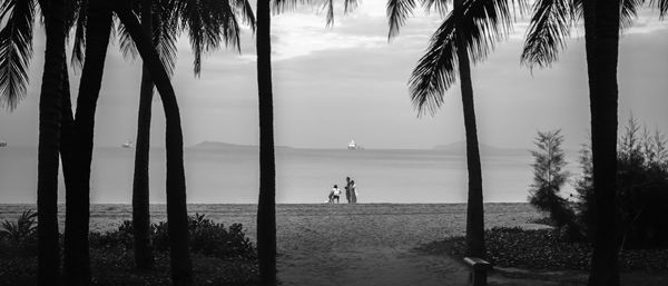 Silhouette people walking on beach against sky