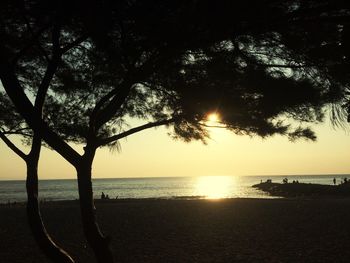 Silhouette of trees at beach during sunset