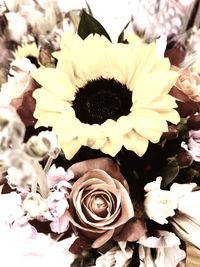 Close-up of fresh rose bouquet