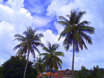 Low angle view of palm trees against cloudy sky