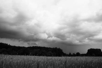 Scenic view of field against sky