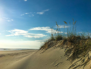 Scenic view of beach against blue sky