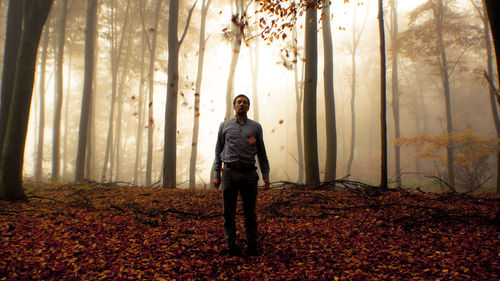 Dry leaves falling on man in forest during foggy weather