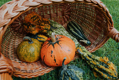 High angle view of pumpkins in basket on field