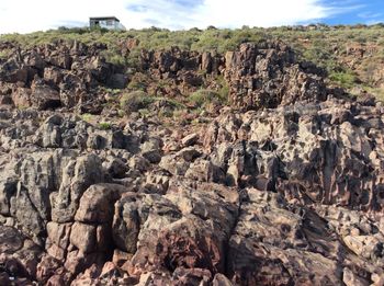 Scenic view of stone wall