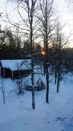 Bare trees on snow covered landscape