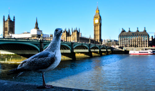 Close-up of clock tower by river against sky in city