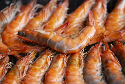 Grilled shrimp on the grill