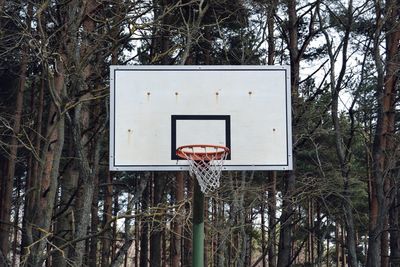 Low angle view of basketball hoop against trees in forest