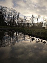 Reflection of bare trees in lake against sky