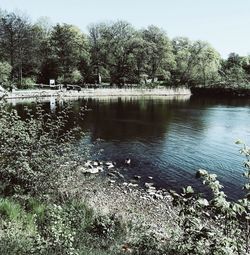 Scenic view of lake in forest against sky