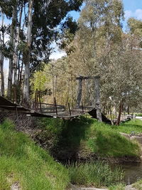 Trees in park against sky