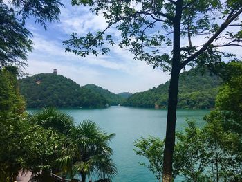 View of lake in forest