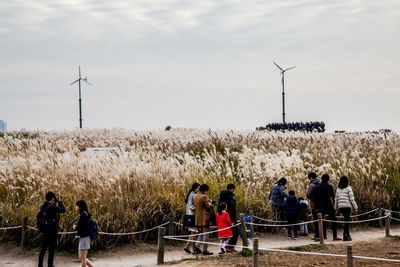 People sitting on grassy field