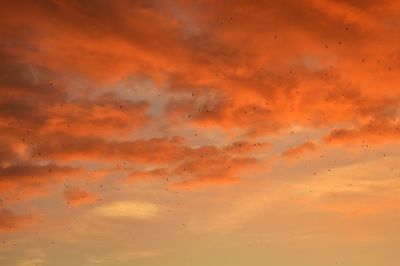 Low angle view of orange sky