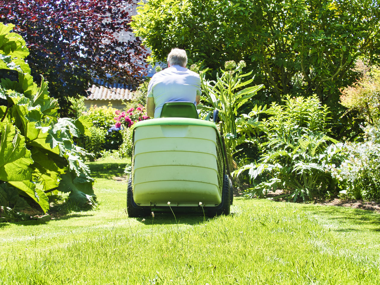 REAR VIEW OF WOMAN SITTING ON GREEN GRASS IN YARD