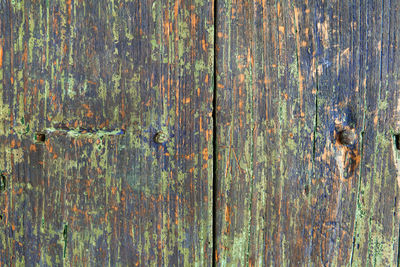 Close-up of wooden door