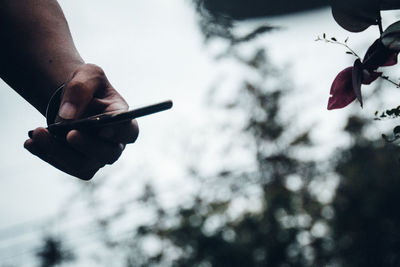 Man holding smartphone against plants and sky - rural scene