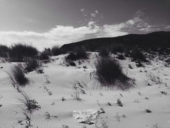 Scenic view of sand dunes