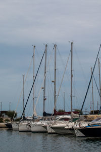 Boats in harbor