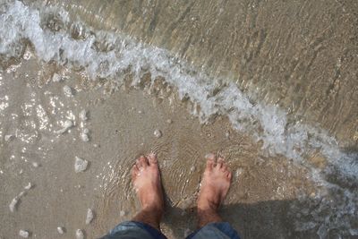 Low section of man standing on beach