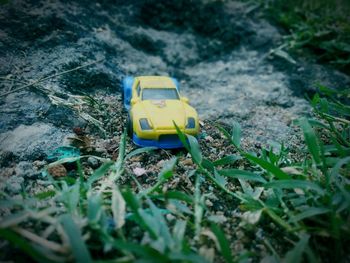 Close-up of toy car on field