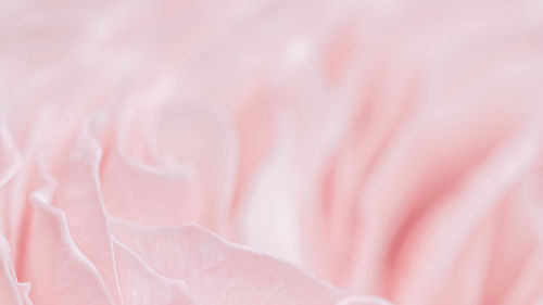 Full frame shot of abstract background