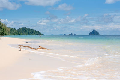 Scenic view of beach against sky