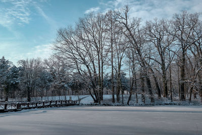 Bare trees on snow covered land against sky