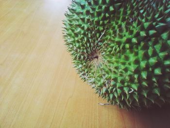 Close-up of plant on table