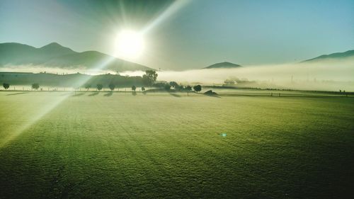 Scenic view of field against sky