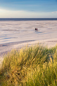 Mid distance of people standing on sand at beach