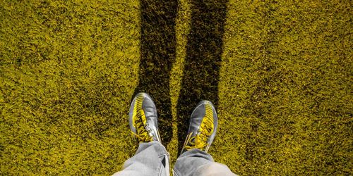 Low section of person standing on field